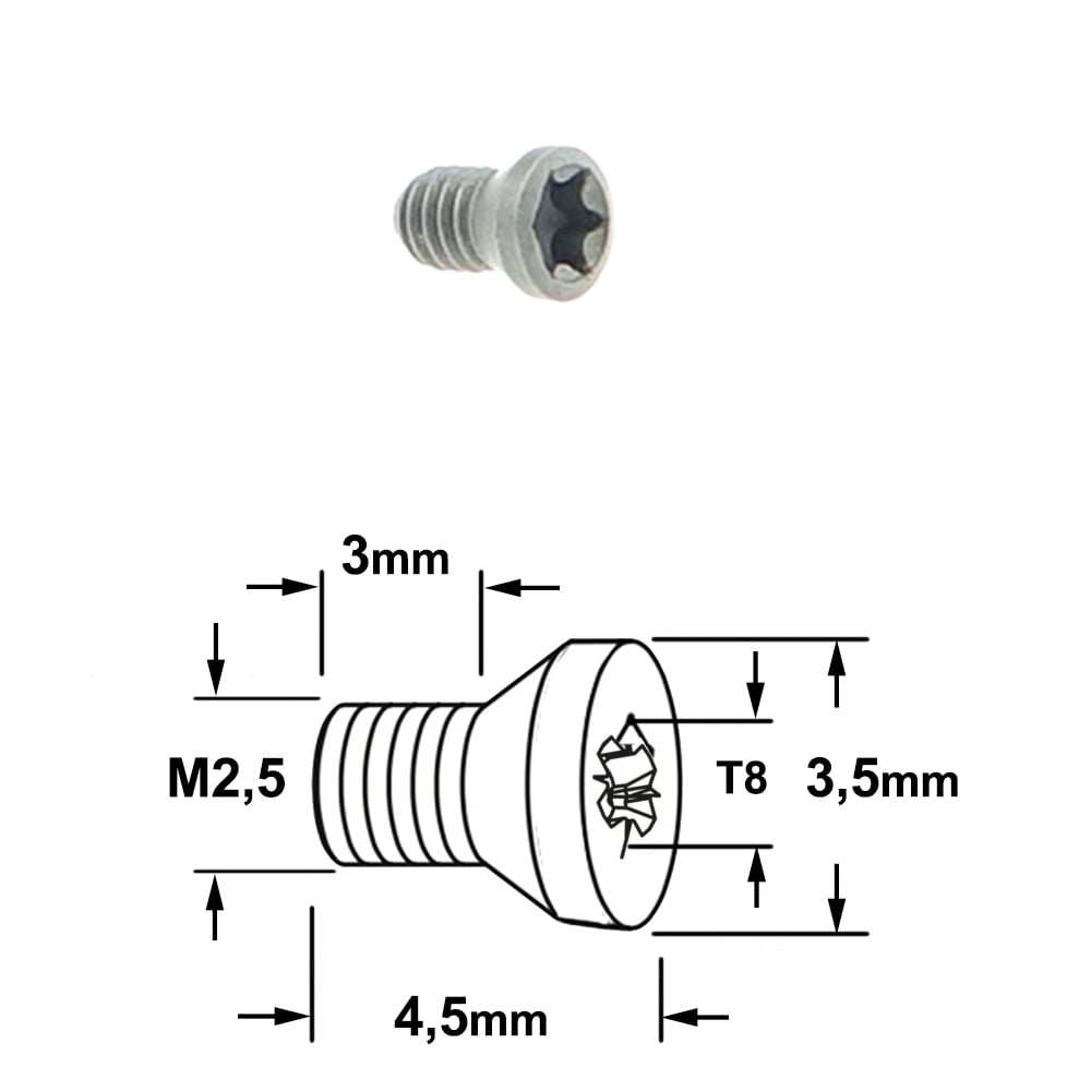 Coniche torx bout