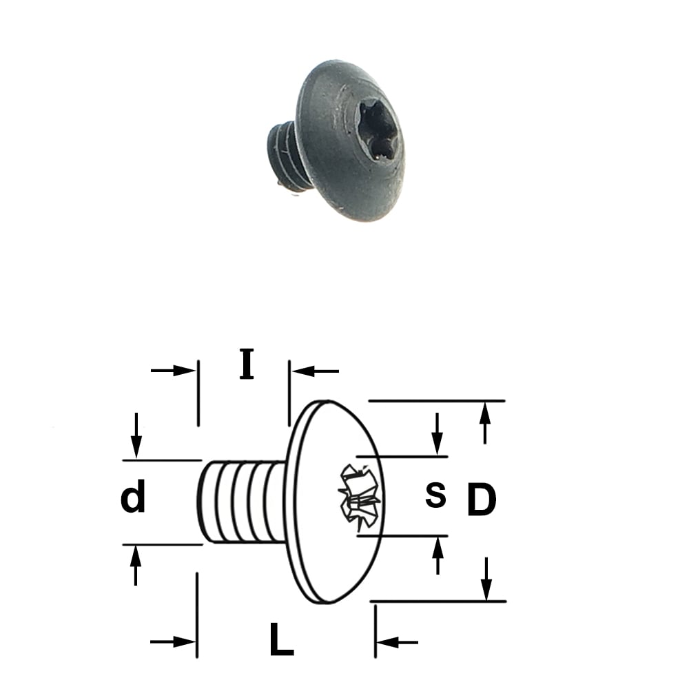 Torx bout