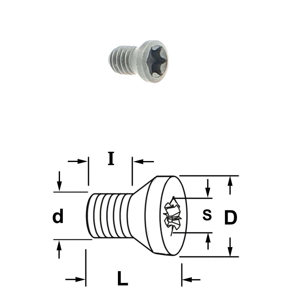 Coniche torx bout