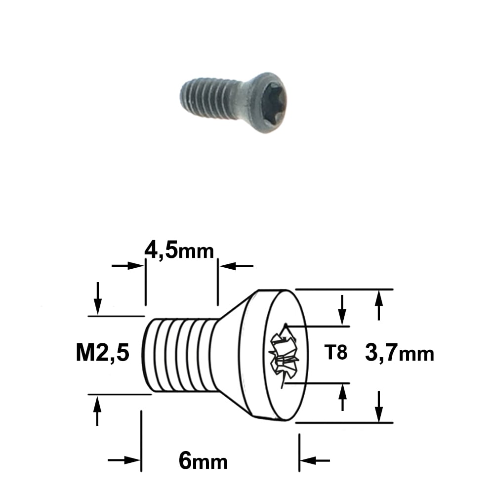 Coniche torx bout