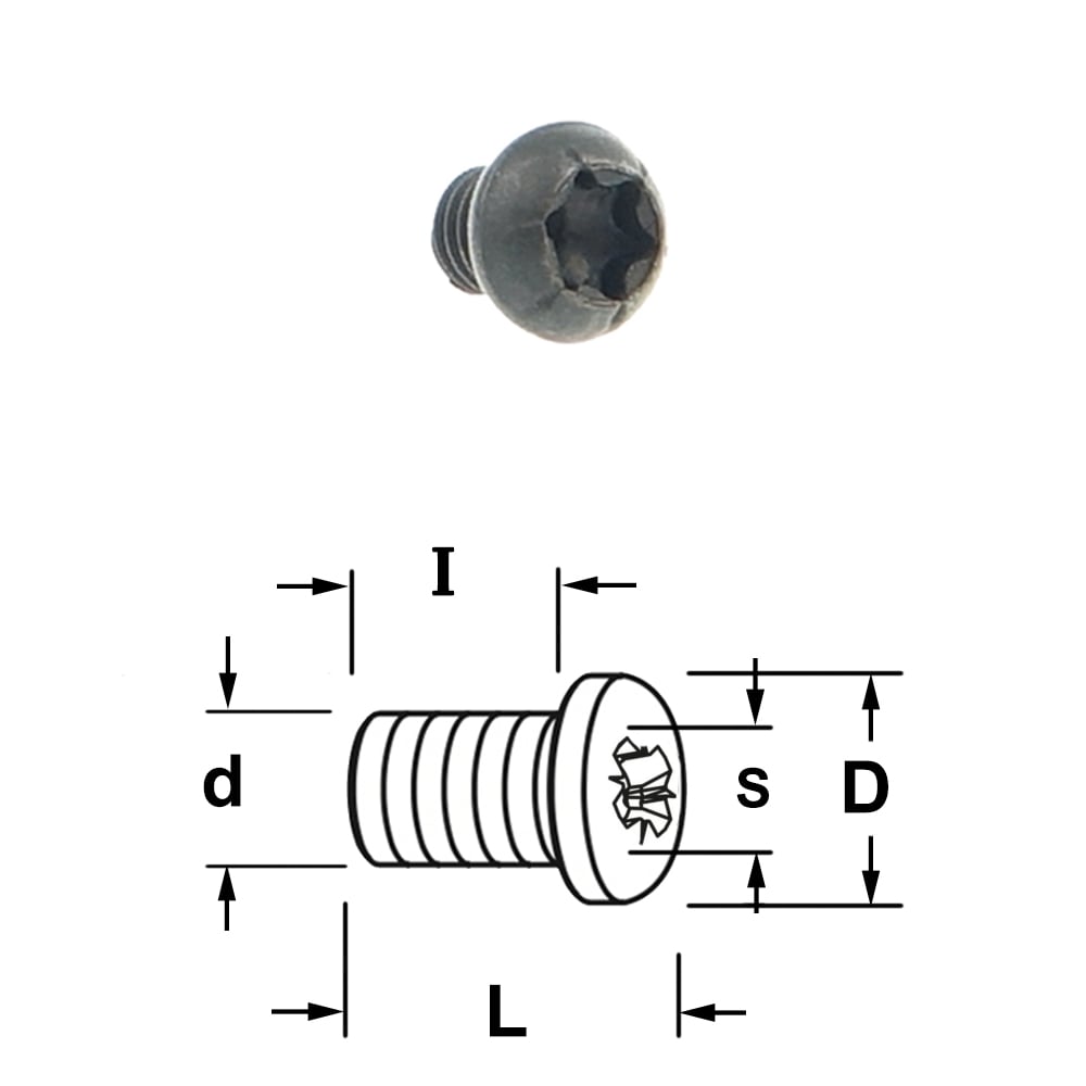Torx bout