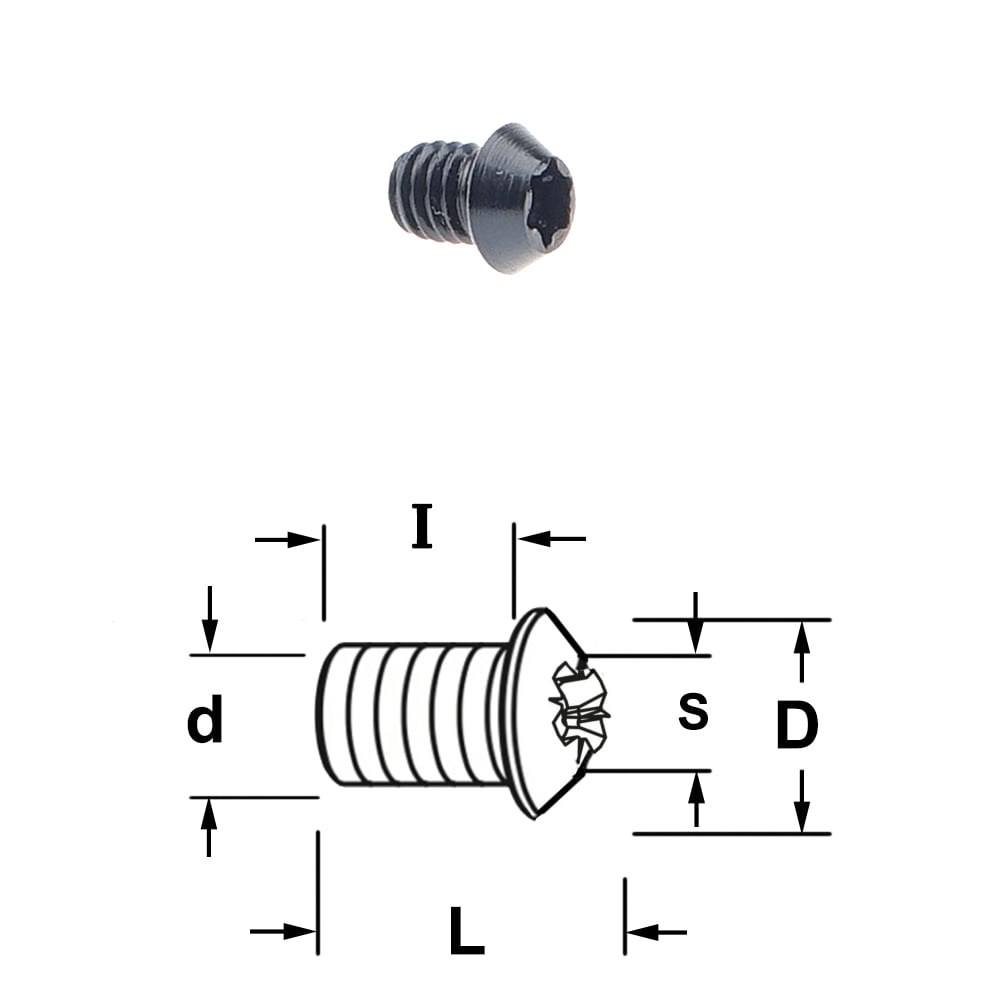 Torx schroef