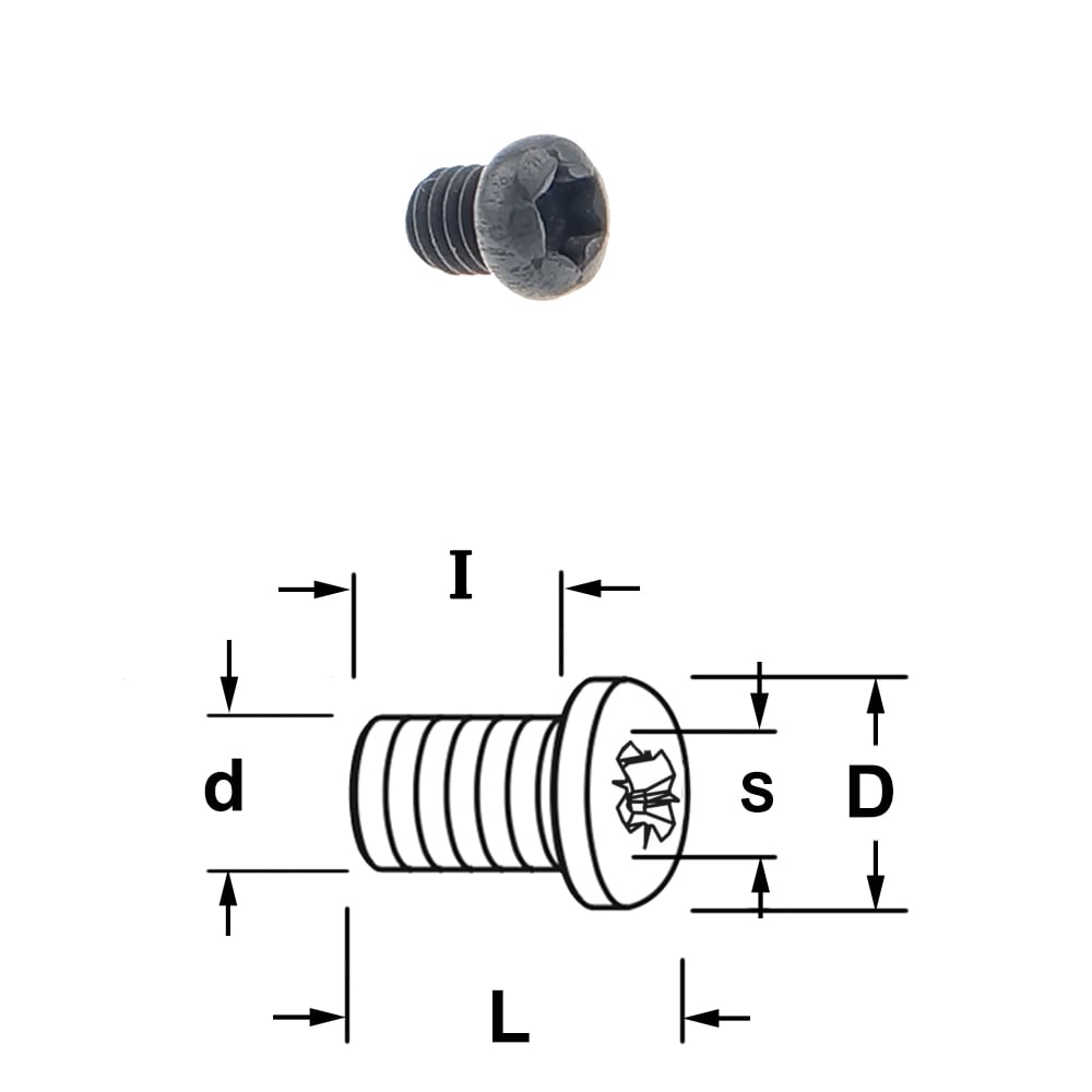 Torx bout per 10 stuks