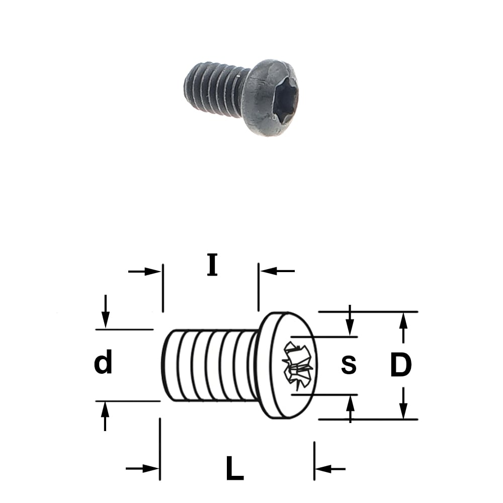 Torx bout