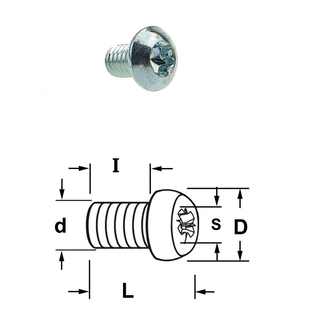 Torx bout