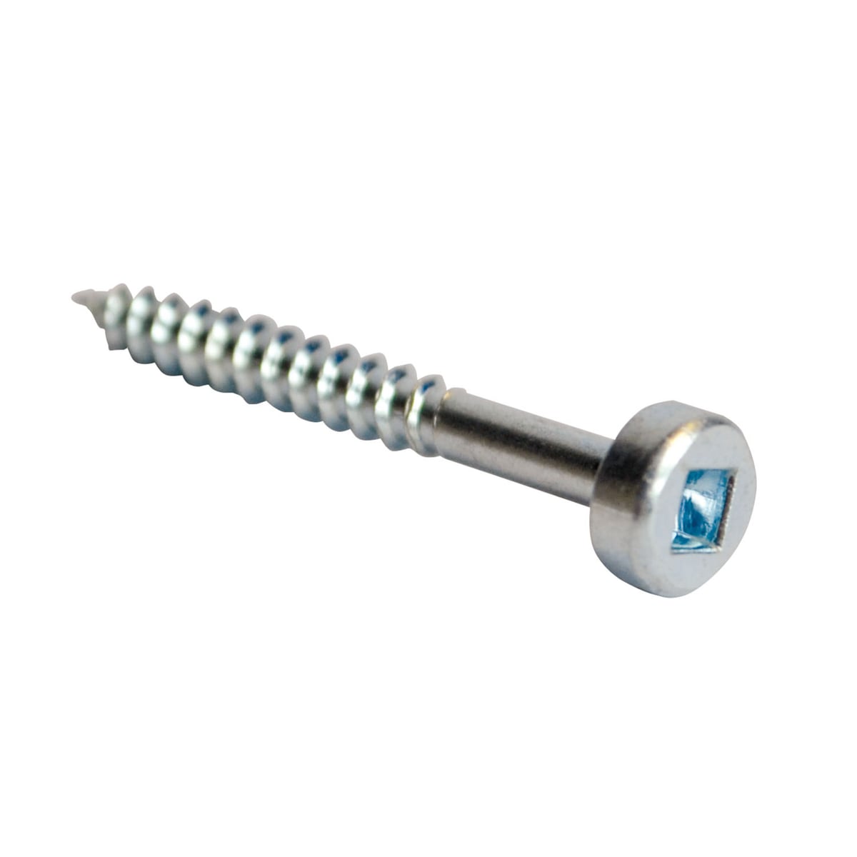 Schroeven 31,7 mm