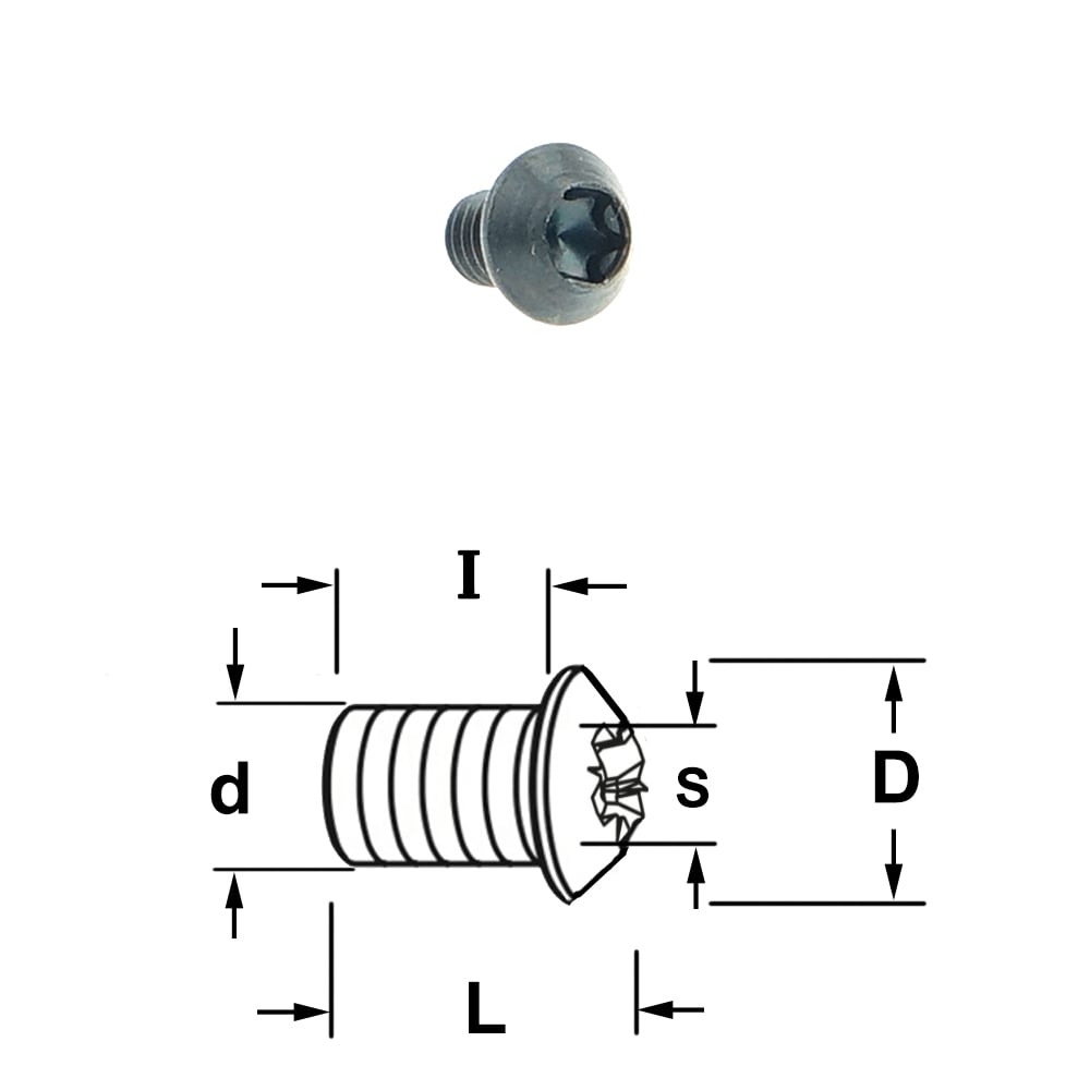 Torx bout