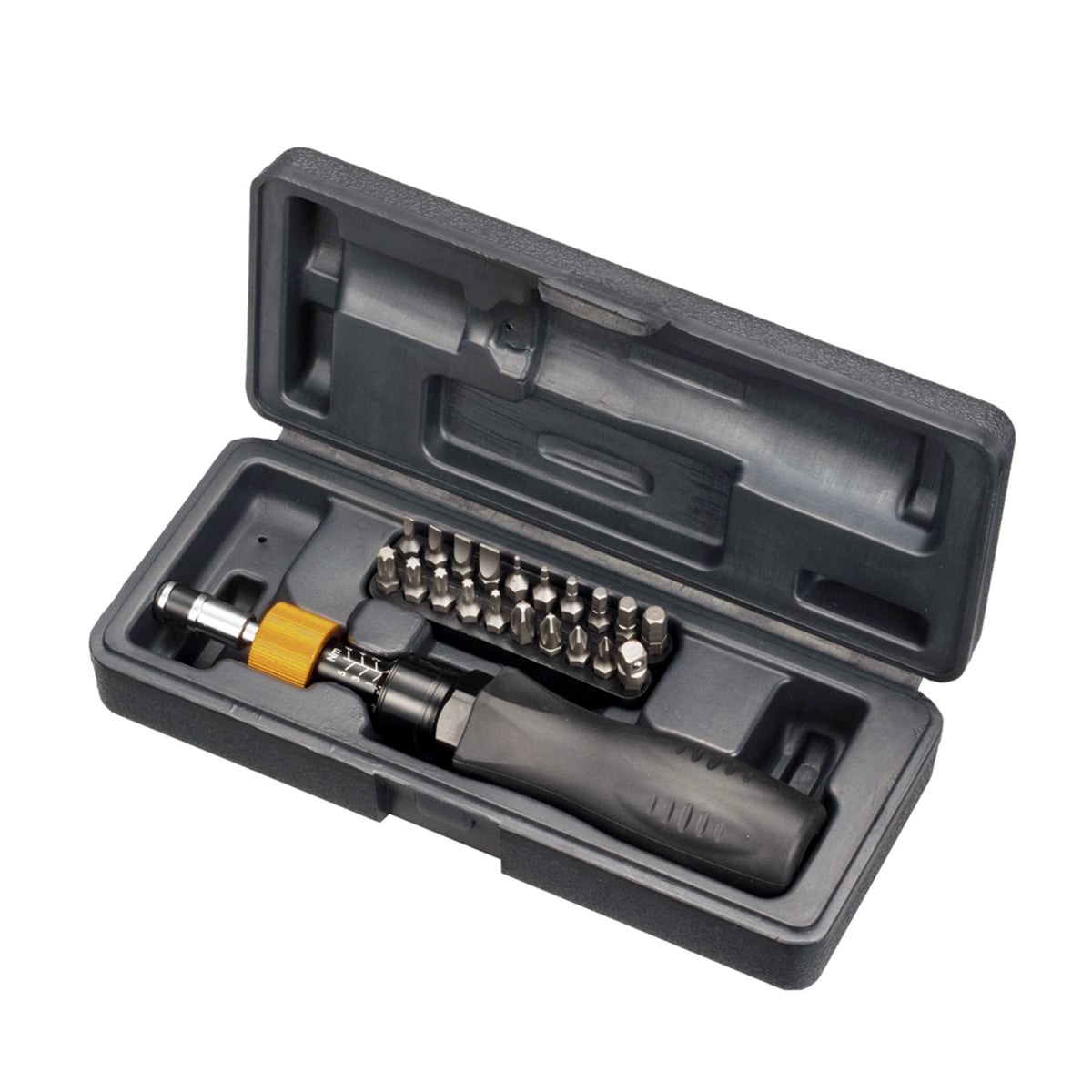 Set met 20 stuks torx bitsen